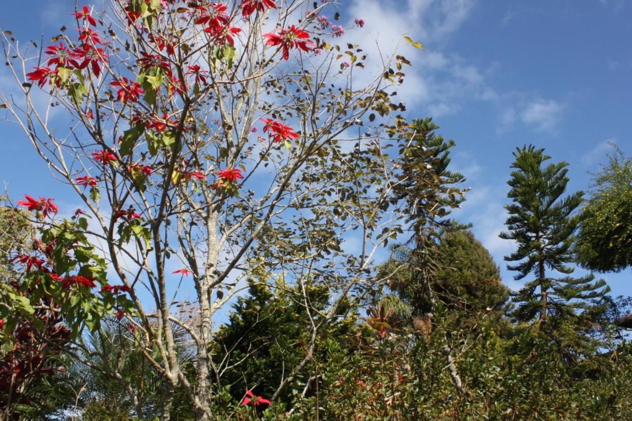 Pousada Campestre Sítio da Lua Camanducaia Exterior foto